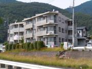 新田ツインズ