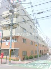 World Palace 武蔵小山 ブランシェーナ