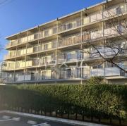 高洲第一団地 17号棟