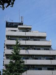 パール白山