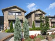 アルテアラック谷上