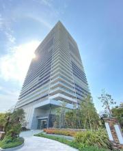 Brillia有明 City Tower