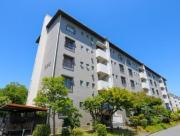 中登美第二団地B12号棟