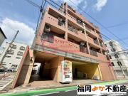 セラフィーノ白金
