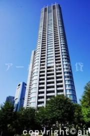 東京ツインパークス ライトウィング