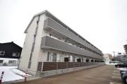 D-room五福