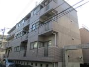 YAMASHITA81