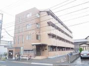 ラクダ