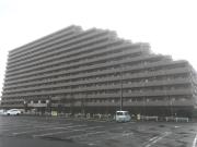 ライオンズガーデンシティ成田
