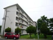 中宮第四住宅74棟