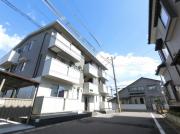 オリーブII 202