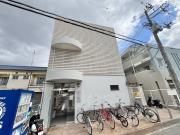 シロハイヌ
