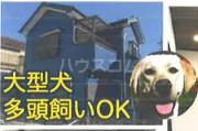桶川戸建て