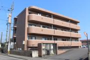 メジャーベル明治北