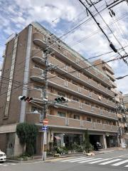 MORE五条