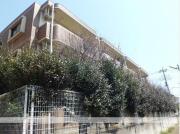 ヴィレッジ七栄