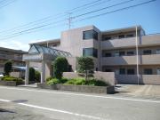 田園コートエレガンスC