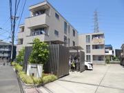 コージーコート
