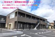 レチエVII