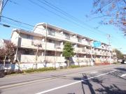 パラドールつつじヶ丘
