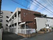リーヴ・ルピナス