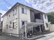 オーキッド