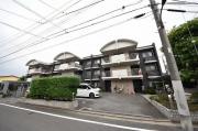 ステラガーデン