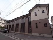 Court yard 高木