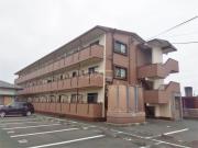 プルメリア