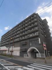 ピジョン田園
