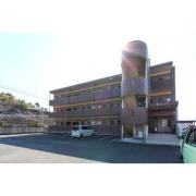 桜コート