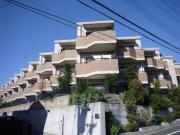 Gran Pino伏見桃山