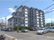 あおなみ線中島駅まで徒歩17分