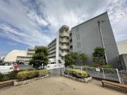 HIYODORI