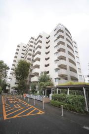 UR新川・島屋敷通り