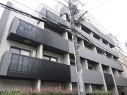 HY′s r234