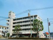 シャトレ沼本町II