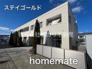 ステイゴールド