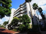 サンパセオ新柏E号館