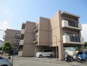 三井マンション