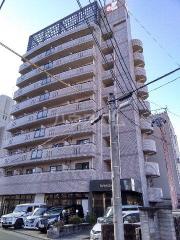 ロイヤルピジョン八田