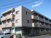 Wellness ARAI