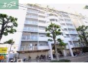 アルファ枝川