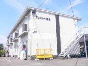 グレイシー西島