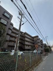 アンデュノール千里