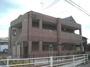 スタービュー