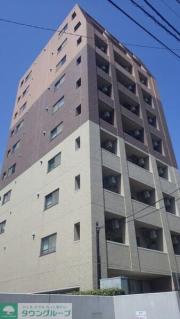 S-FORT柏