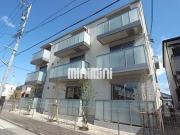 シャルマン市場木