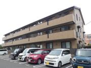 ピュアライト文京町