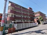 Court flats TANABE1号棟